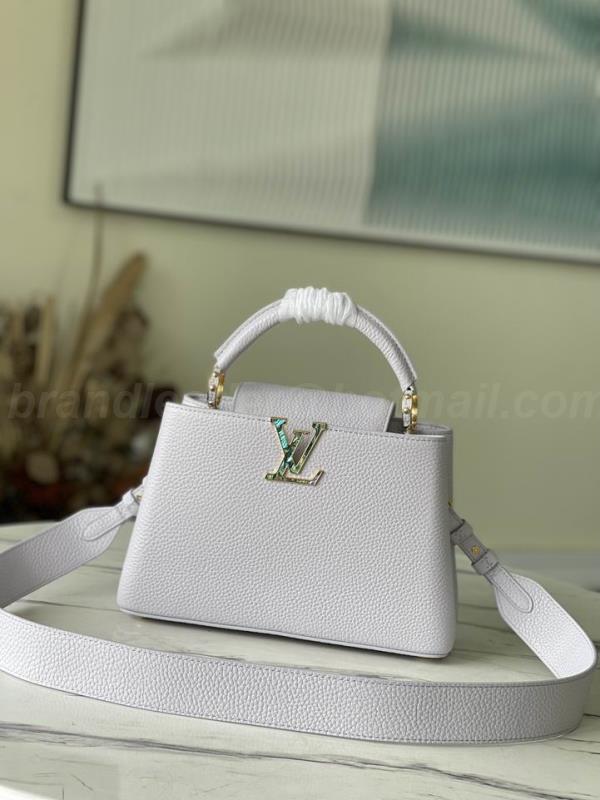 LV Handbags 458